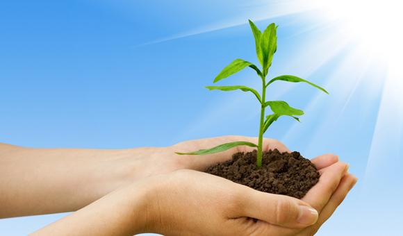 开云官方EDX光谱仪在环境标准HJ 780 -2015——《土壤和沉积物 无机元素的测量波长色散X射线荧光光谱法》上的应用方案