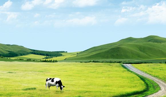 开云官方ICP3000在土壤监测中的应用解决方案