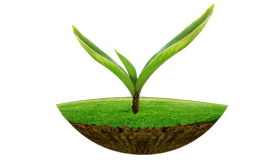 开云官方原子吸收及原子荧光在土壤监测中的应用解决方案